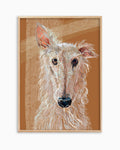 Shepherd dog